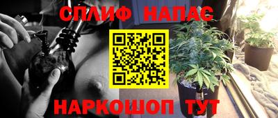 мдпв Ливны