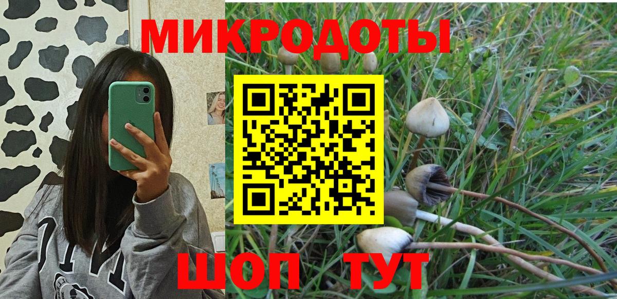Ступино  Галлюциногенные грибы MAGIC MUSHROOMS  Вход с VPN  Псилоцибиновые грибы мухоморы 